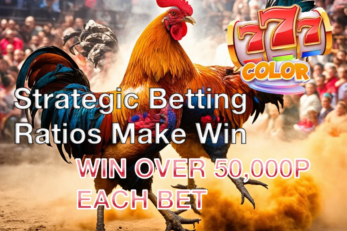 Will strategic betting ratios create winners for you at Sabong Live?