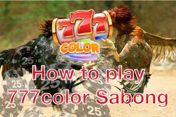 How to Play 777color Sabong: A Step-by-Step Guide to Mastering the Game.